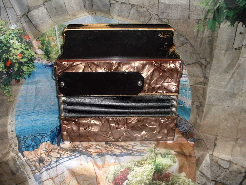 Concertina para venda N, 884