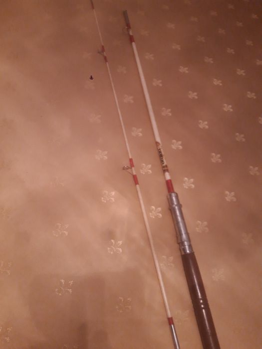 Cana de pesca  daiwa