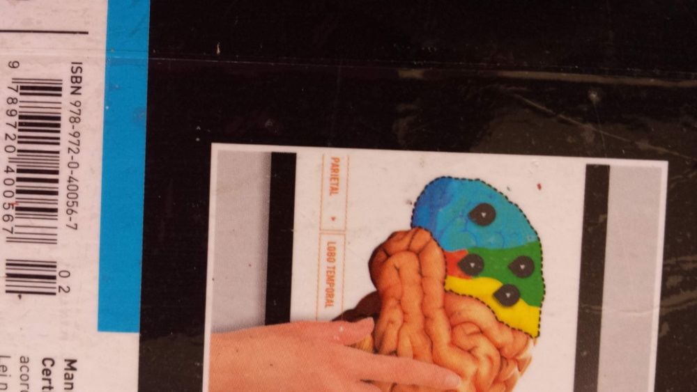 Outras Expressões - Português - 10/12.º Ano