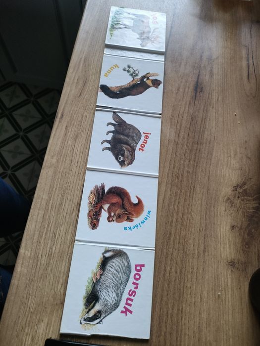 Książeczki z obrazkami zwierzęta