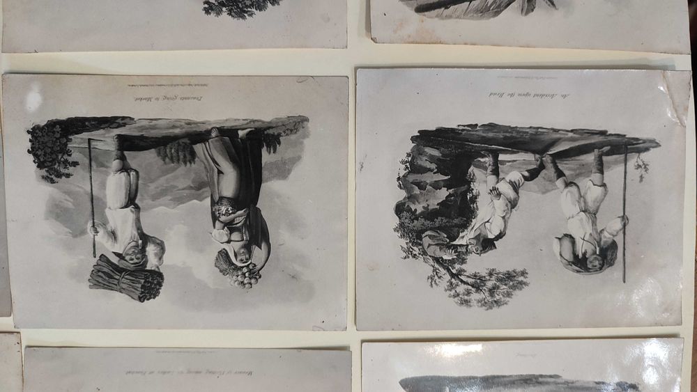 Lote 10 Imagens Litografias  da Obra A History of Madeira