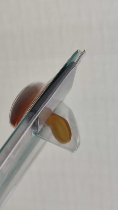 Соска, пустушка анатомічна 0+ Neo Baby