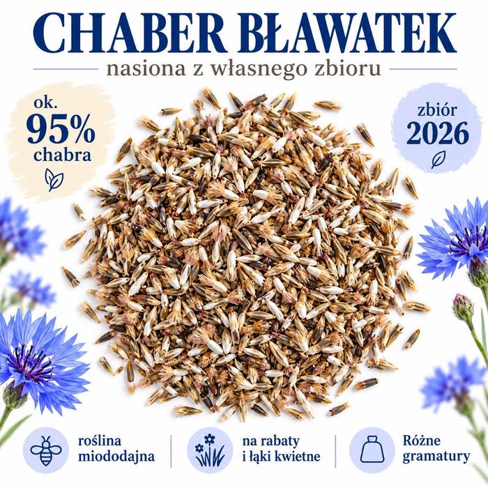 CHABER BŁAWATEK nasiona 1kg miododajne dla pszczół łąka kwietna zbiór 2026