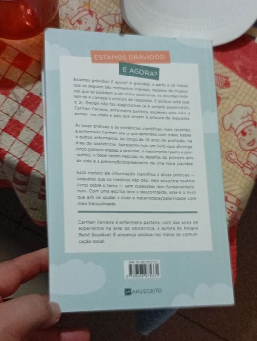 Estamos Grávidos! E Agora de Carmen Ferreira