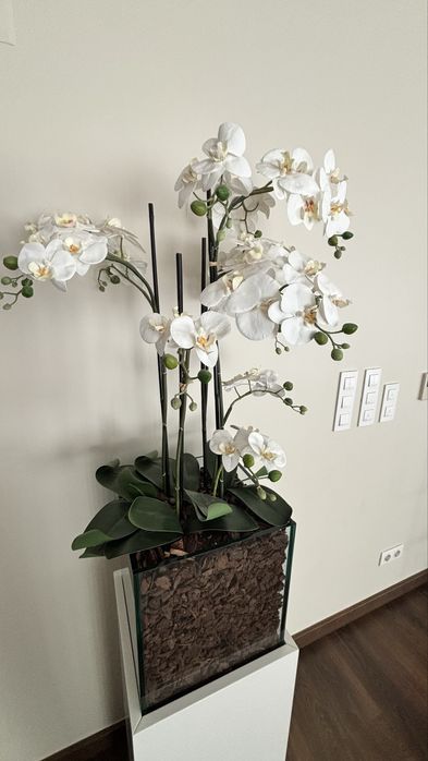 Floreira decorativa - Lacada branca, Vidro, Orquídeas
