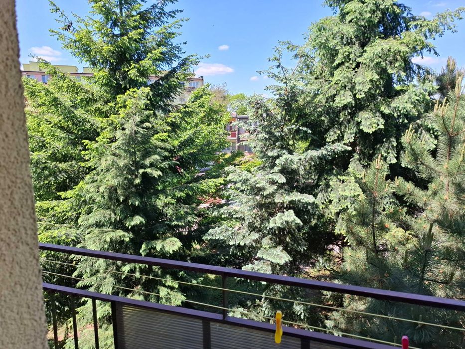 Apartament  do wynajęcia