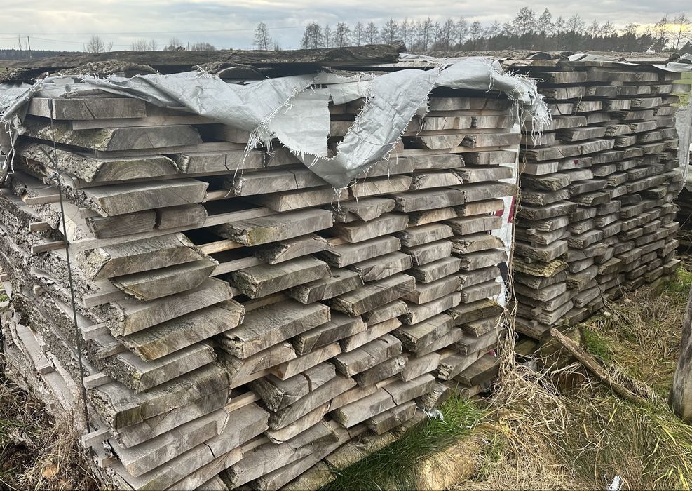 Blochy jesionowe , blochy dębowe