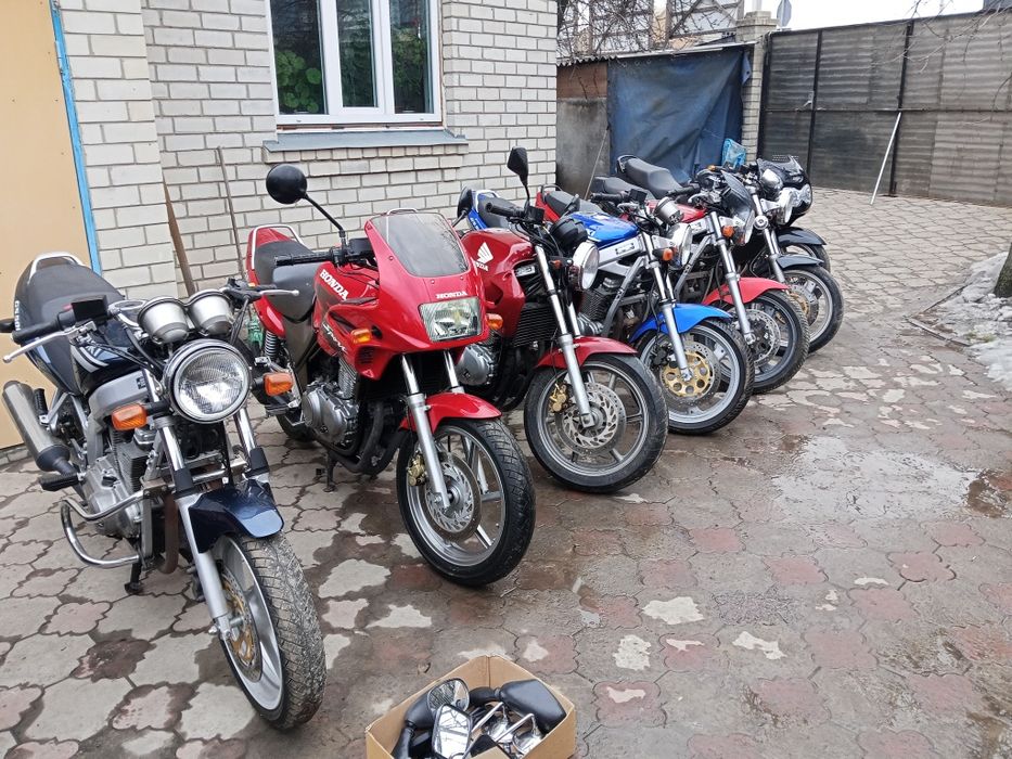 Свіжі з Німеччини
