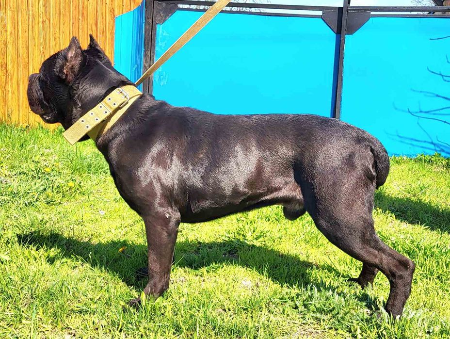 Хлопчик чекає зустрічі