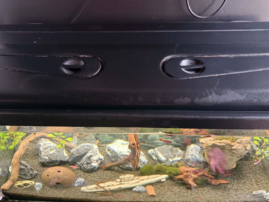 akwarium 200l   100x50x40