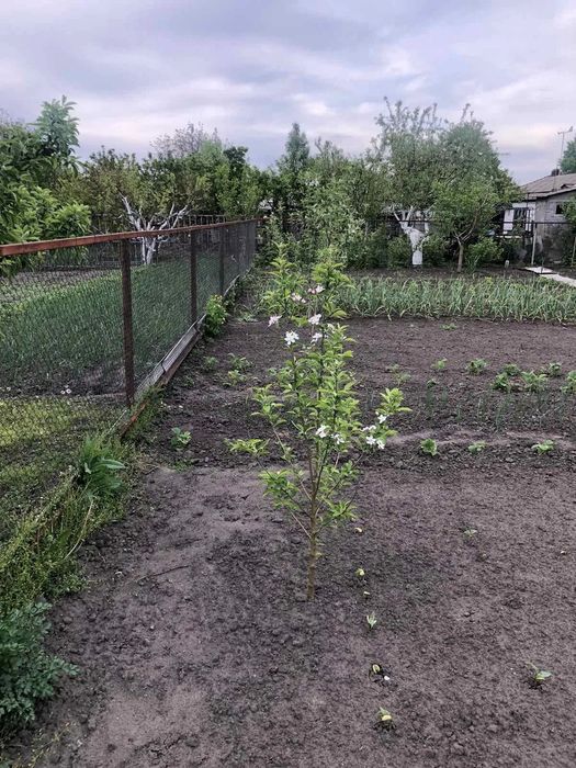Продам будинок, ділянка 12 соток, р-н Міськсад.