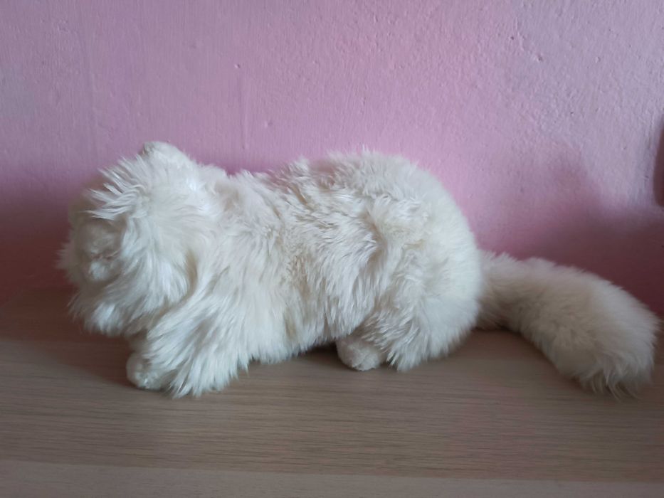 Maskotka pluszak biały kot kotek perski długość 42 cm