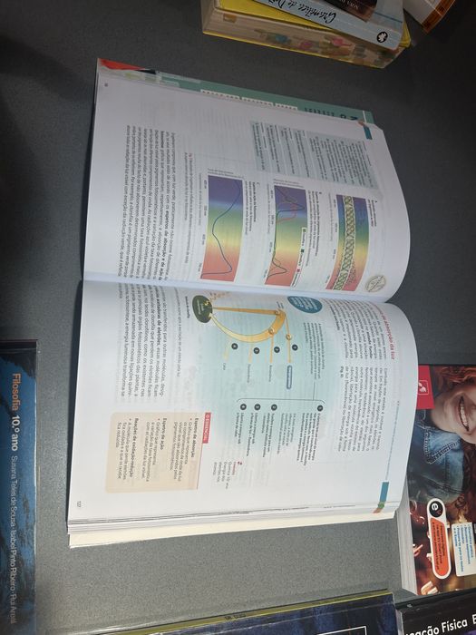 Livros Escolares 10 Ano  Area Ciencias -tecnologia