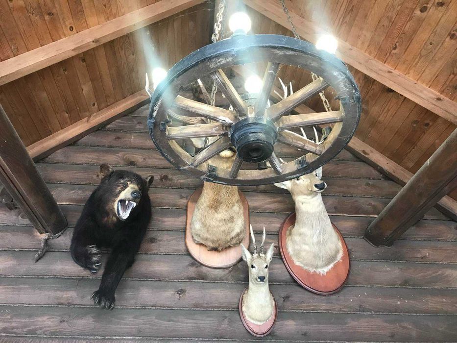 Будинок, 150сот. власне озеро с.Здорівка Васильківський  Київська обл.