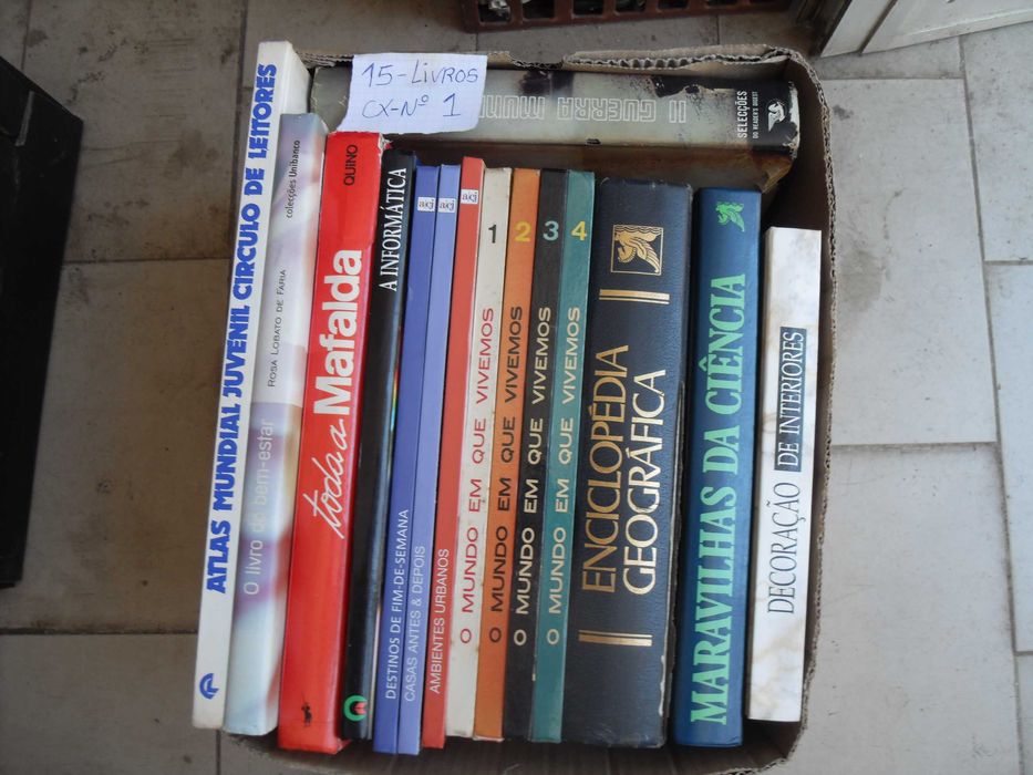 Livros usados diversos LOTE 174 livros