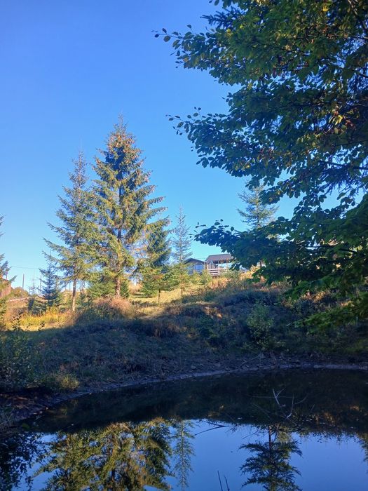 Здаєтся котедж  NORTH HILL