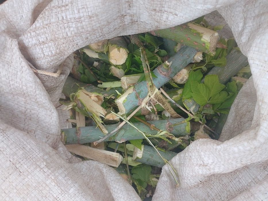 Блок режущий Веткорез веткоруб гілкоріз гілкоруб без электродвигатель