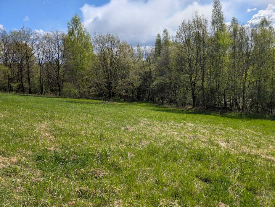 Działki budowlane na sprzedaż gmina Łapanów - Widok 4