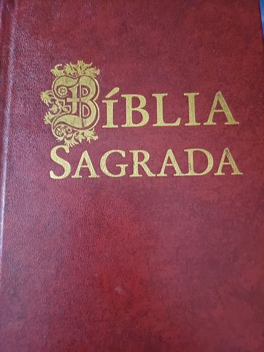 Varias biblias..