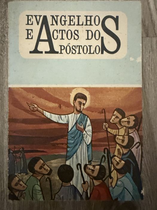 Livros biblicos
