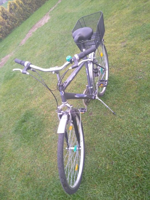 Rower Senator       .