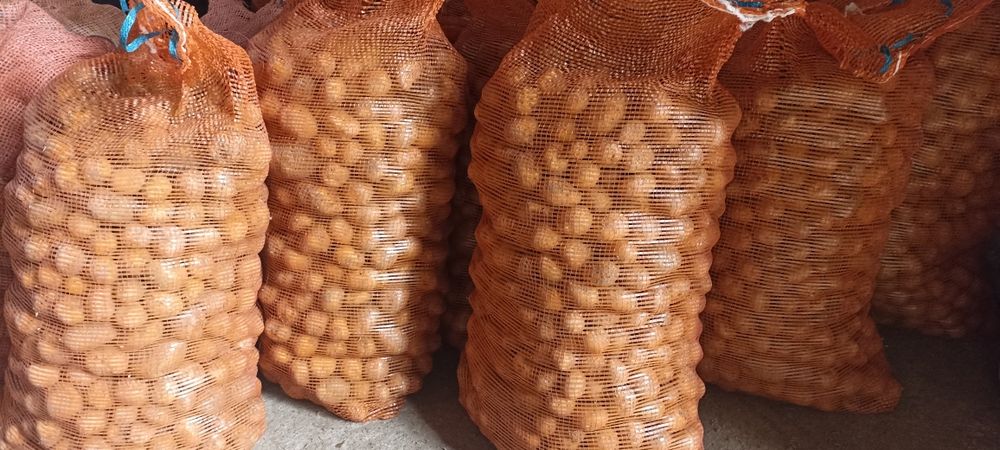 Ziemniaki paszowe odpadowe