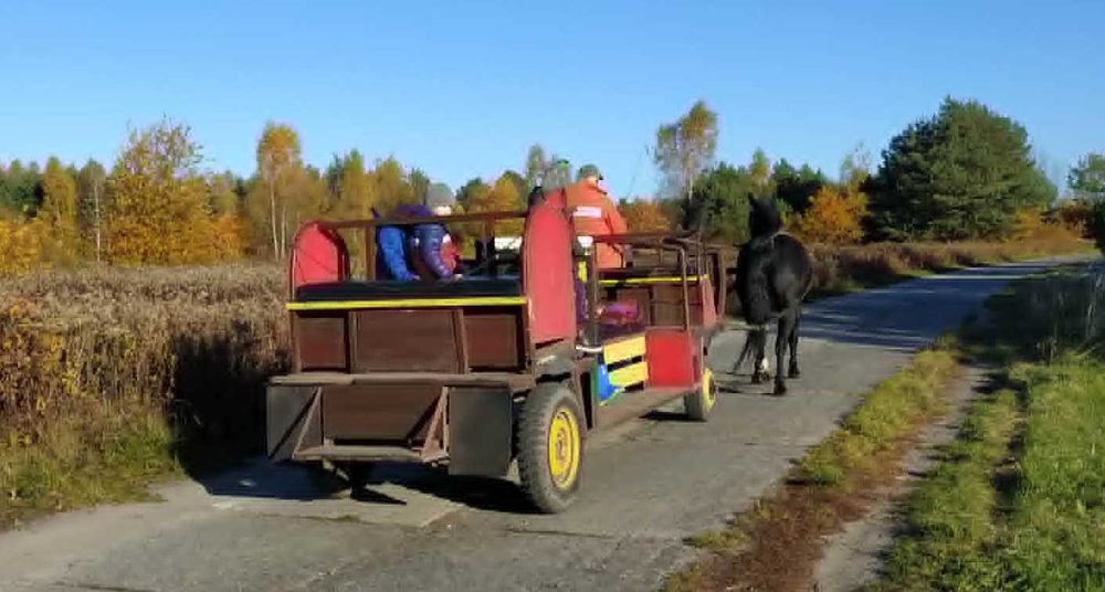 pojazd konny na 20 osób