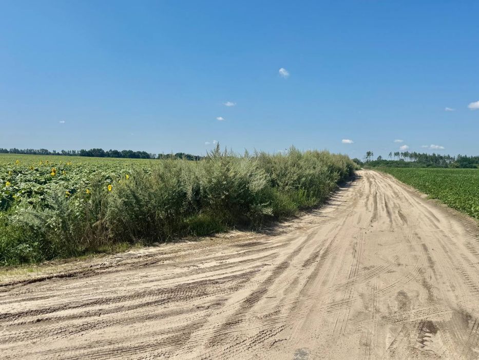 Земельна ділянка 107 га в Бучанському районі