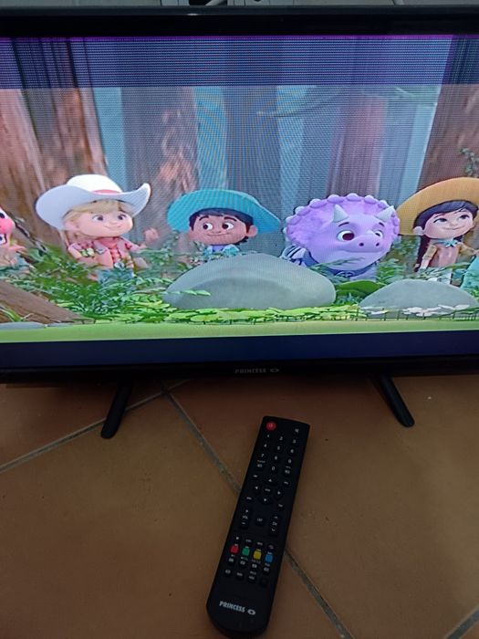 Televisão princess 24  polegadas - pequena avaria na imagem