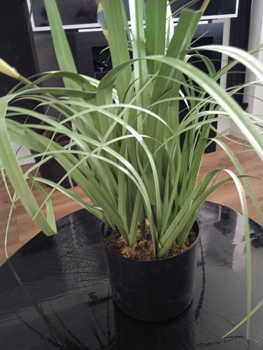 Sztuczna trawa z nb kwiatami