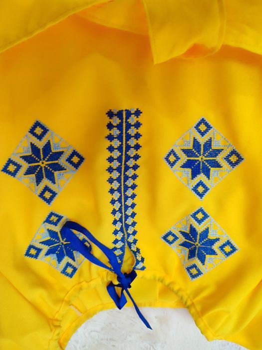 Вишиванка на 7-10 років РУЧНА ВИШИВКА!