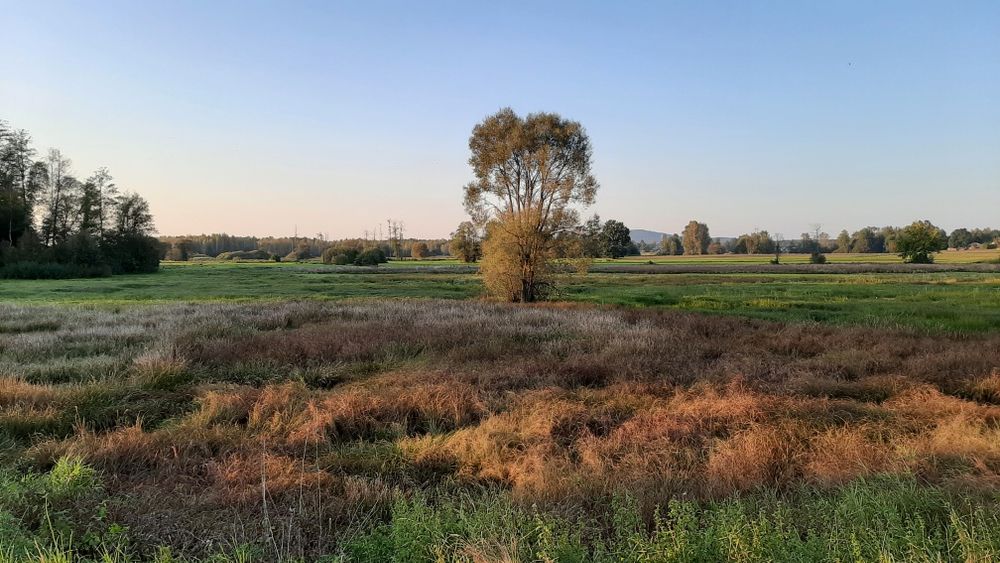 Działka budowlana