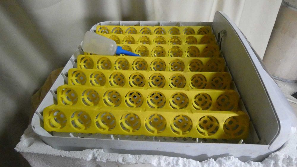 Chocadeira automática para 56 ovos