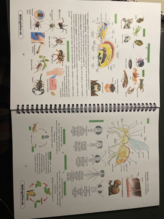 Конспект з біології для підготовки до НМТ