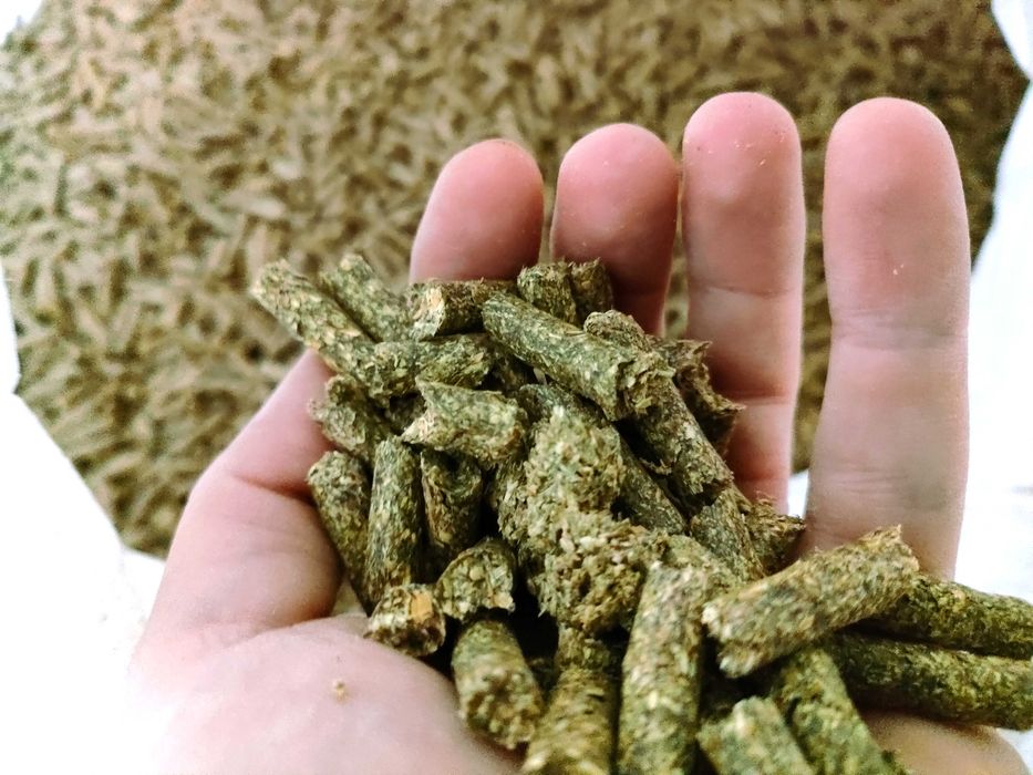 Susz z lucerny, lucerna granulowana | POLSKA | cena brutto z dostawa