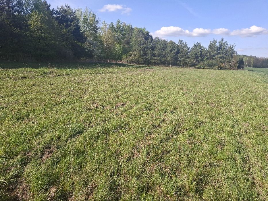 Działka budowlana w Jachrance, gmina Serock, pow. 1149m2