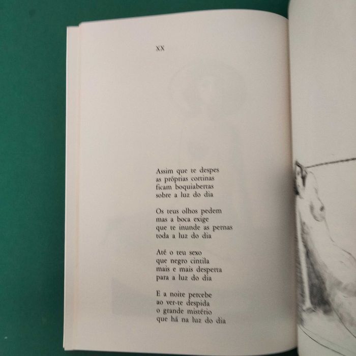 O Corpo Iluminado - David Mourão-Ferreira / Francisco Simões