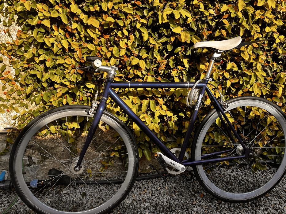 Bicicleta tipo Fixie