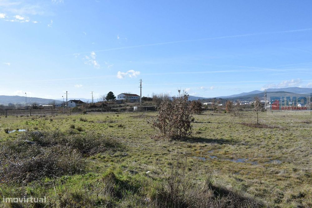 Lote de Terreno  Venda em Alcaria,Fundão — Alcaria, Castelo Branco
