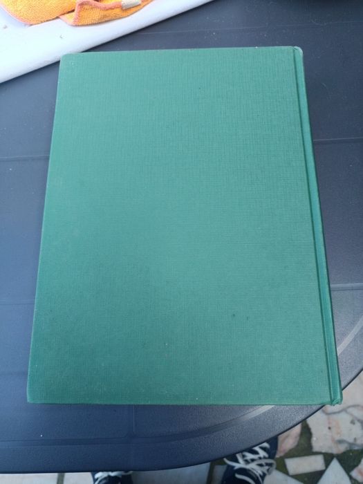 Arte 98 de Fernando Infante Carmo