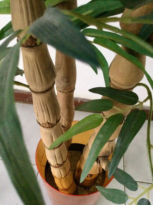 Planta artificial BAMBU