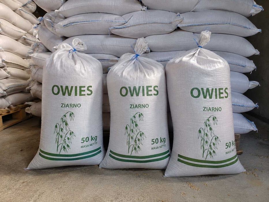 Owies do palenia workowany opał