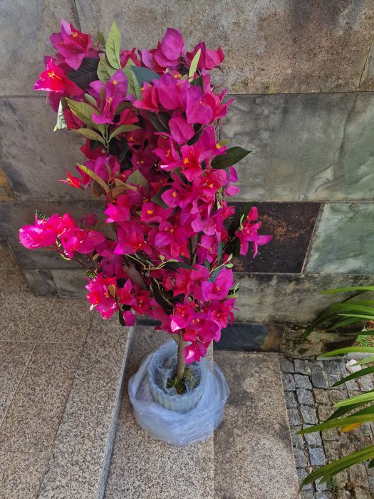 buganvília artificial com flores rosa-choque vibrantes tem aproximadamente 130 cm de altura