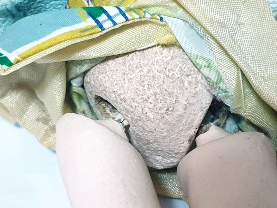 Amoroso antigo boneco japonês Ichimatsu com olhos em vidro