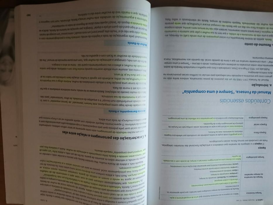 Livro de estudo e preparação para exame português 12