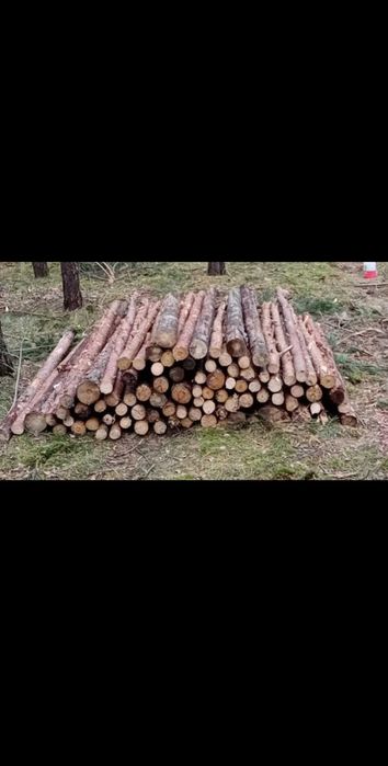 Tanie drewno opałowe sosna gubin okolice