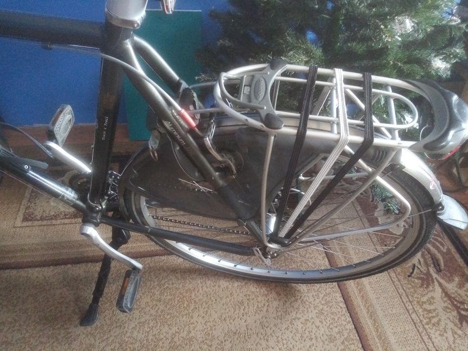 Rower męski gazelle medeo