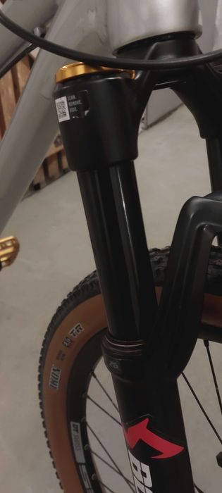 Canyon Stitched 360 pro 2024