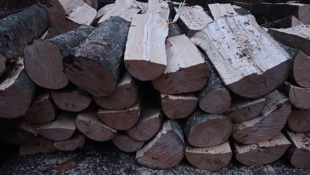 szybkie terminy Grubizna sosnowa gałęziówka bukowa buk sosna drewno