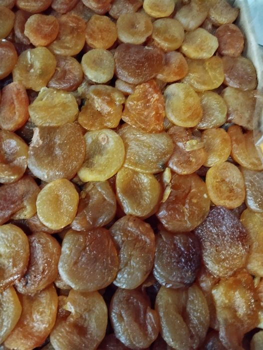 Курага урожай 2025